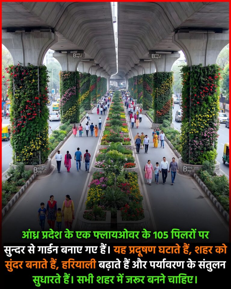 FB_IMG_1768031411904