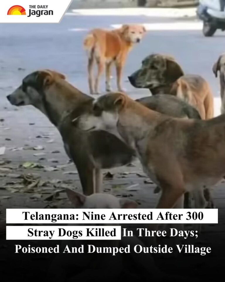 FB_IMG_1768220518897