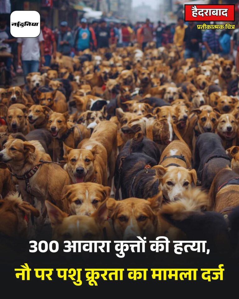 FB_IMG_1768317450709