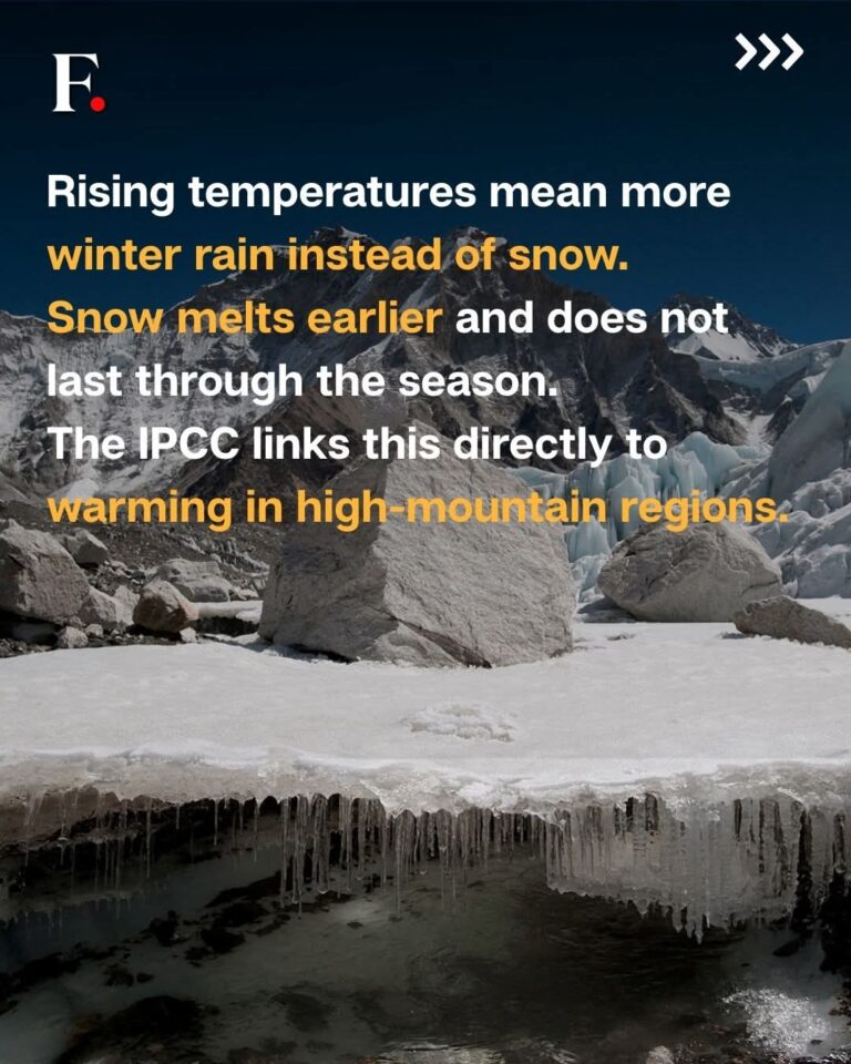 FB_IMG_1768451300785