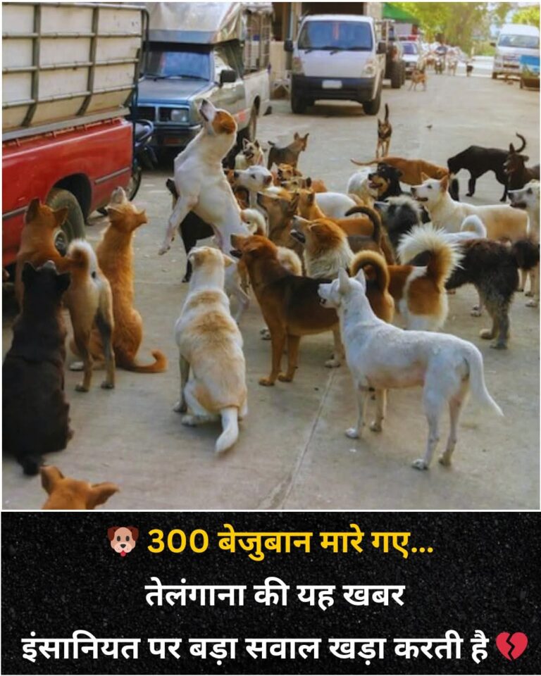 FB_IMG_1768452721461