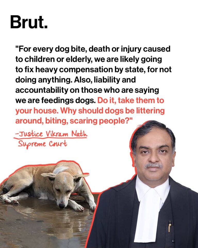 FB_IMG_1768625561352