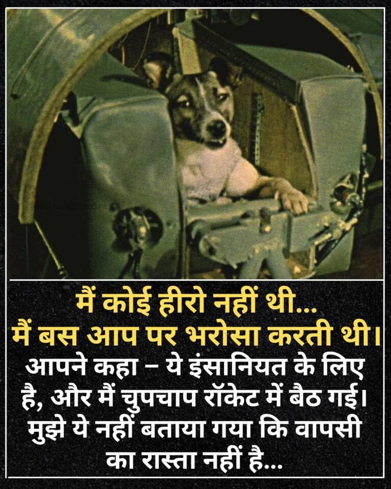 FB_IMG_1768626757999